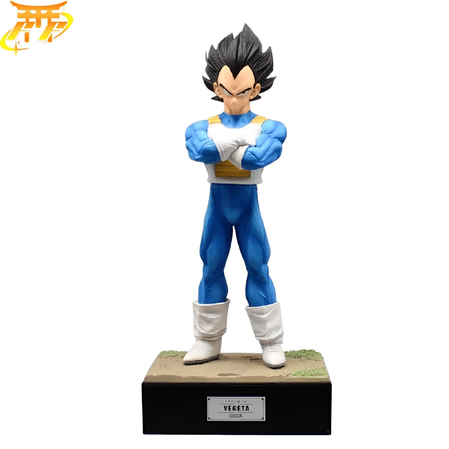 Prinz Vegeta Figuren - Dragon Ball Z™