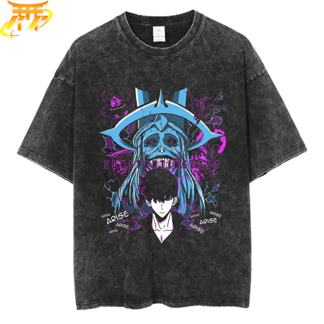 Sung x Der Architekt T-Shirt - Solo Leveling™