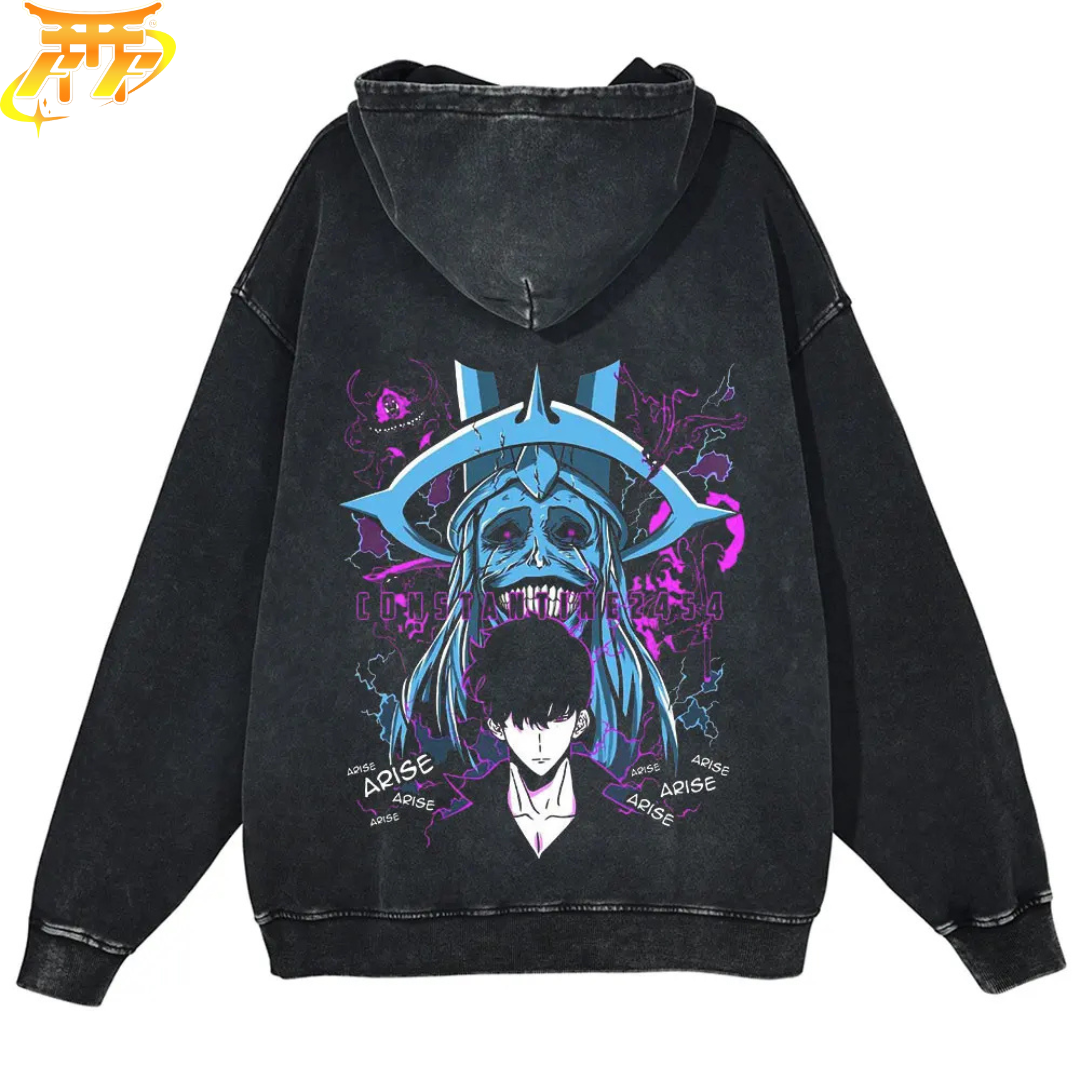 Sung Jin-Woo x Der Architekt Pullover - Solo Leveling™