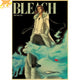 Coyote Stark Poster - Bleach™