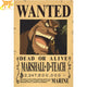 Blackbeard Wanted Poster – One Piece™